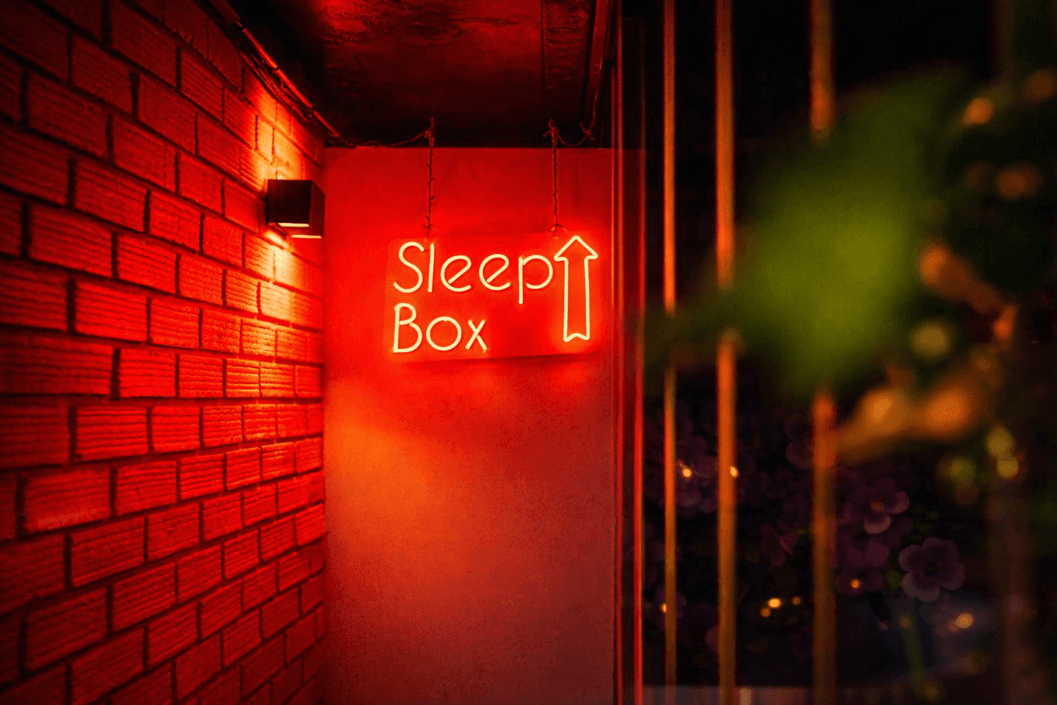 Bên trong Sleep Box riêng tư tại El Soñador Đà Lạt